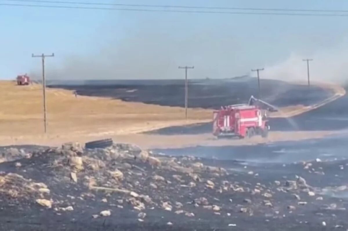    Под Симферополем тушат пожар сухой растительности на площади 50 га