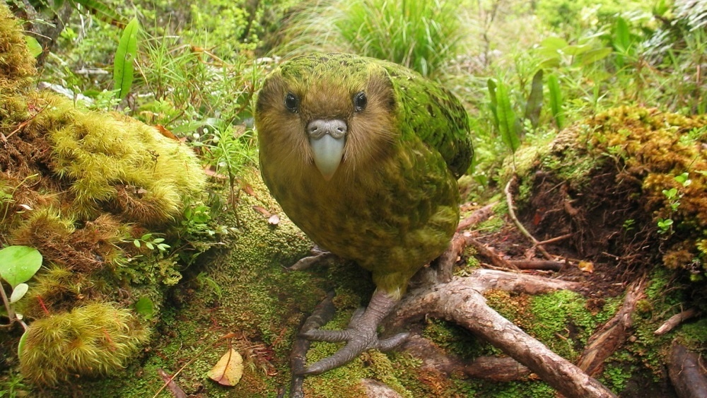     Фото: Photoshot/REPORTER