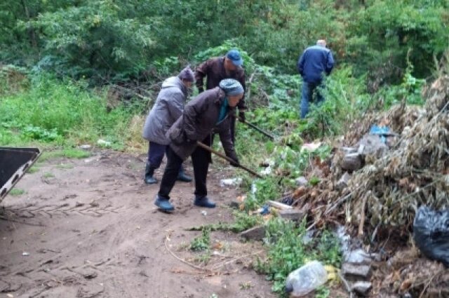    Фото: Администрация города Ульяновска