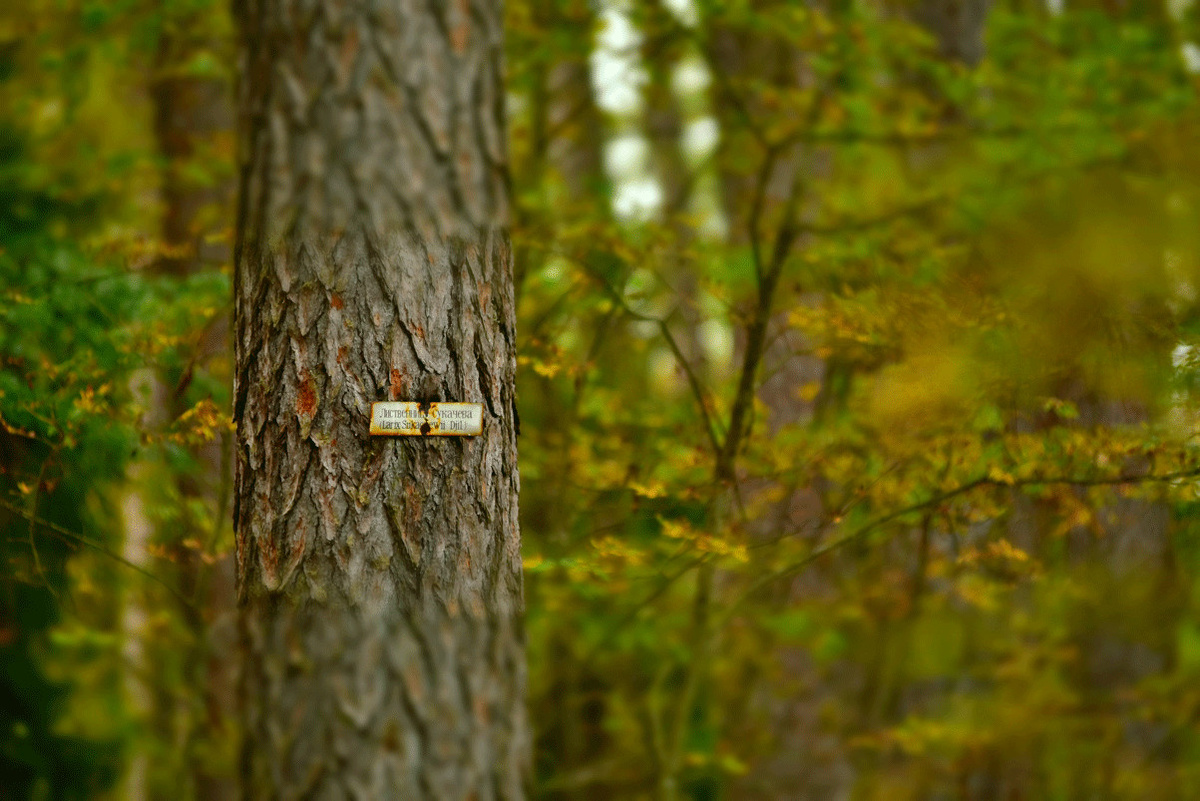 ooptlo.ru / Вадим Кухтин