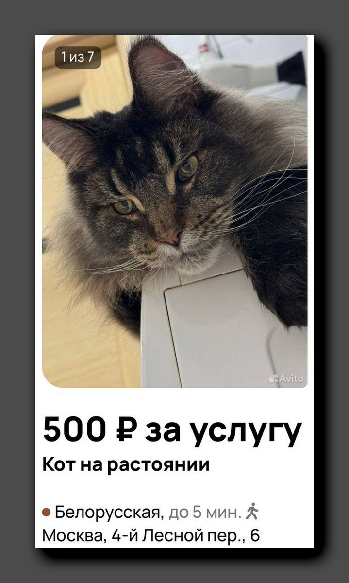 Скриншоты avito.ru