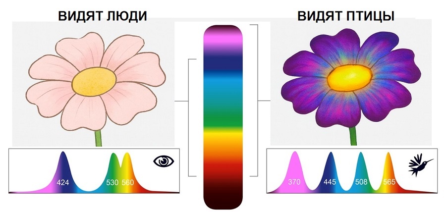 Реконструкция разницы восприятия. Сгенерировано ИИ