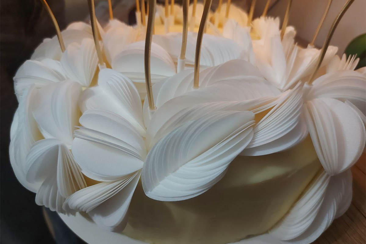 Фото Софии Бибиковой, «Кубань 24»