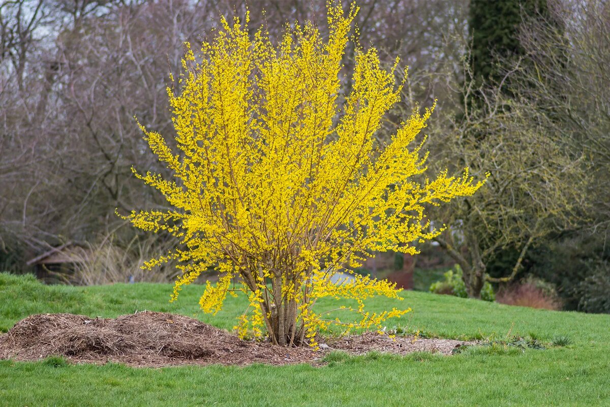 Фотография: Tonyleathers / Shutterstock / FOTODOM