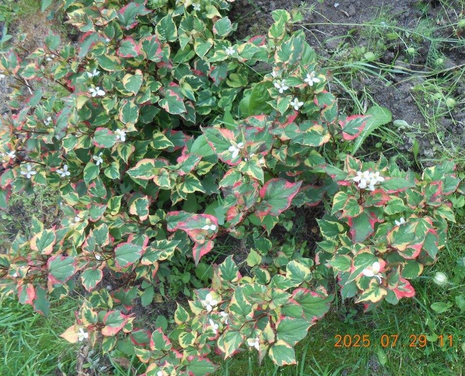 Все фото мои