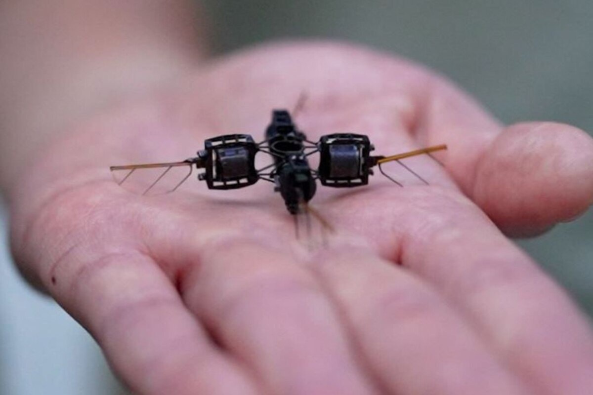    Фото: скриншот из видео MIT