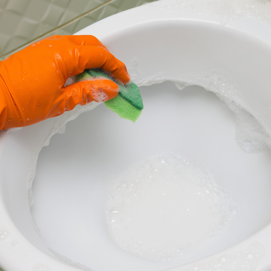 Источник фото: Canva