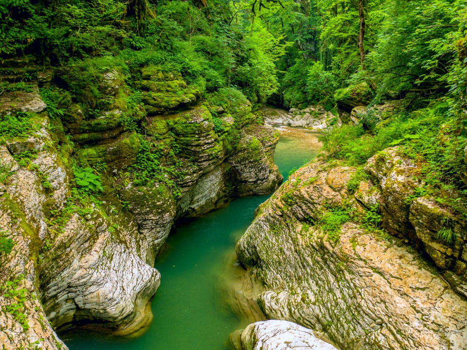 Dmitry Bezrukov / Shutterstock.com
