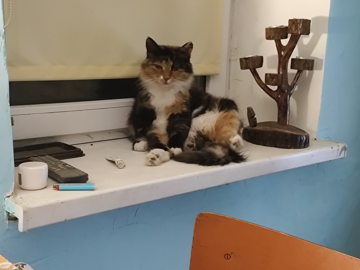 Мамзель Мухель...