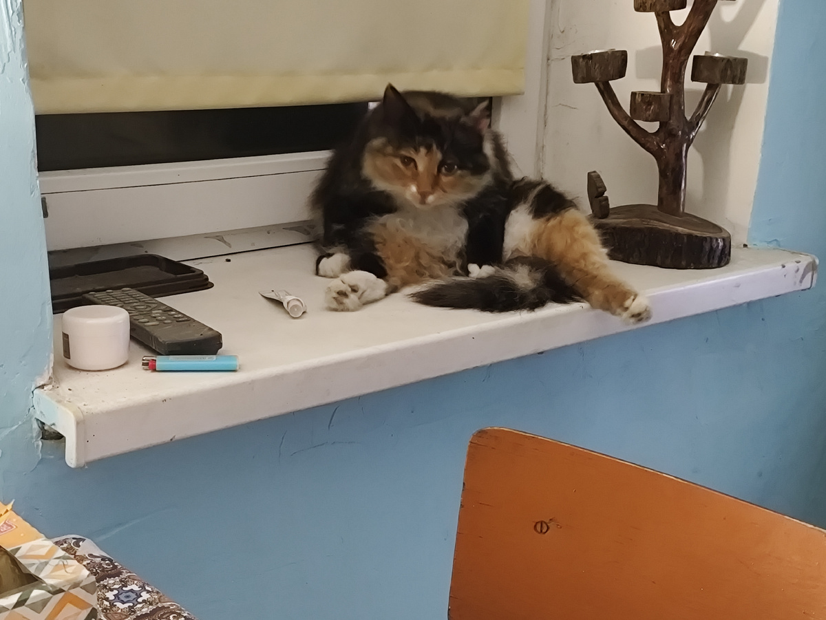 Ну чего надо?