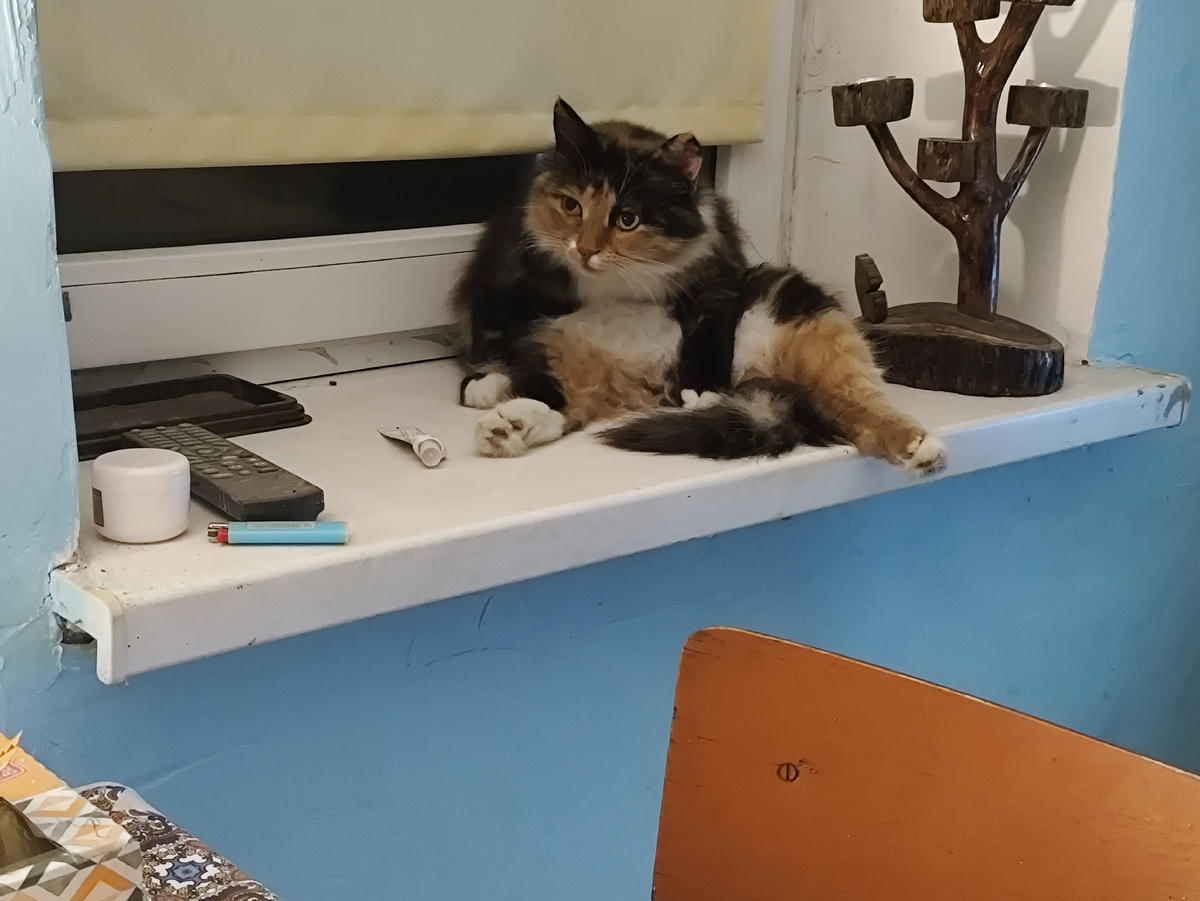 На Олега смотрит )))