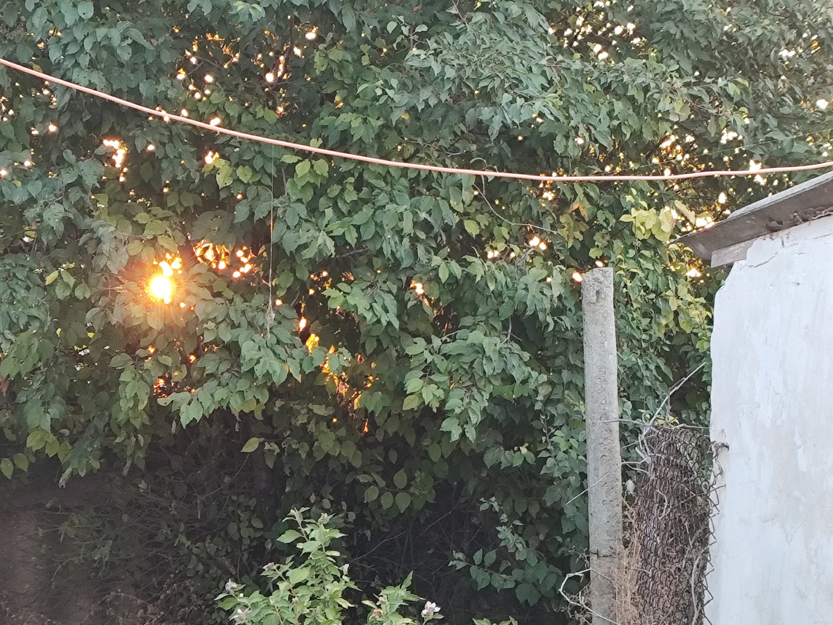 Доброе утро, солнышко!