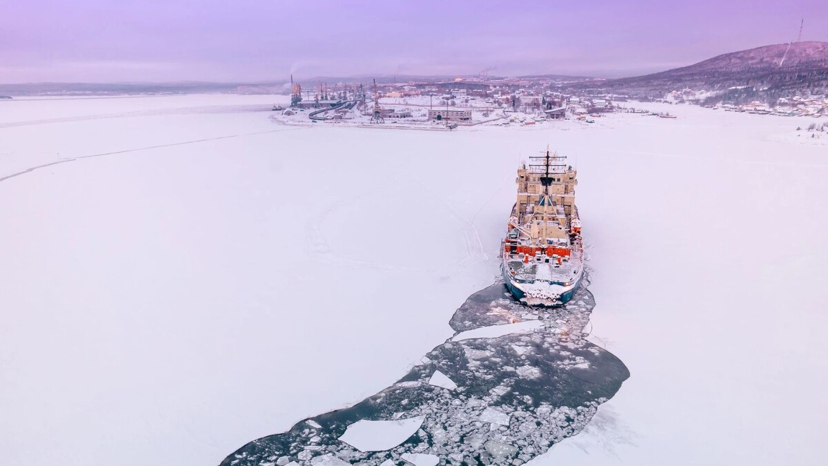    Фото: maks_ph/Shutterstock/Fotodom