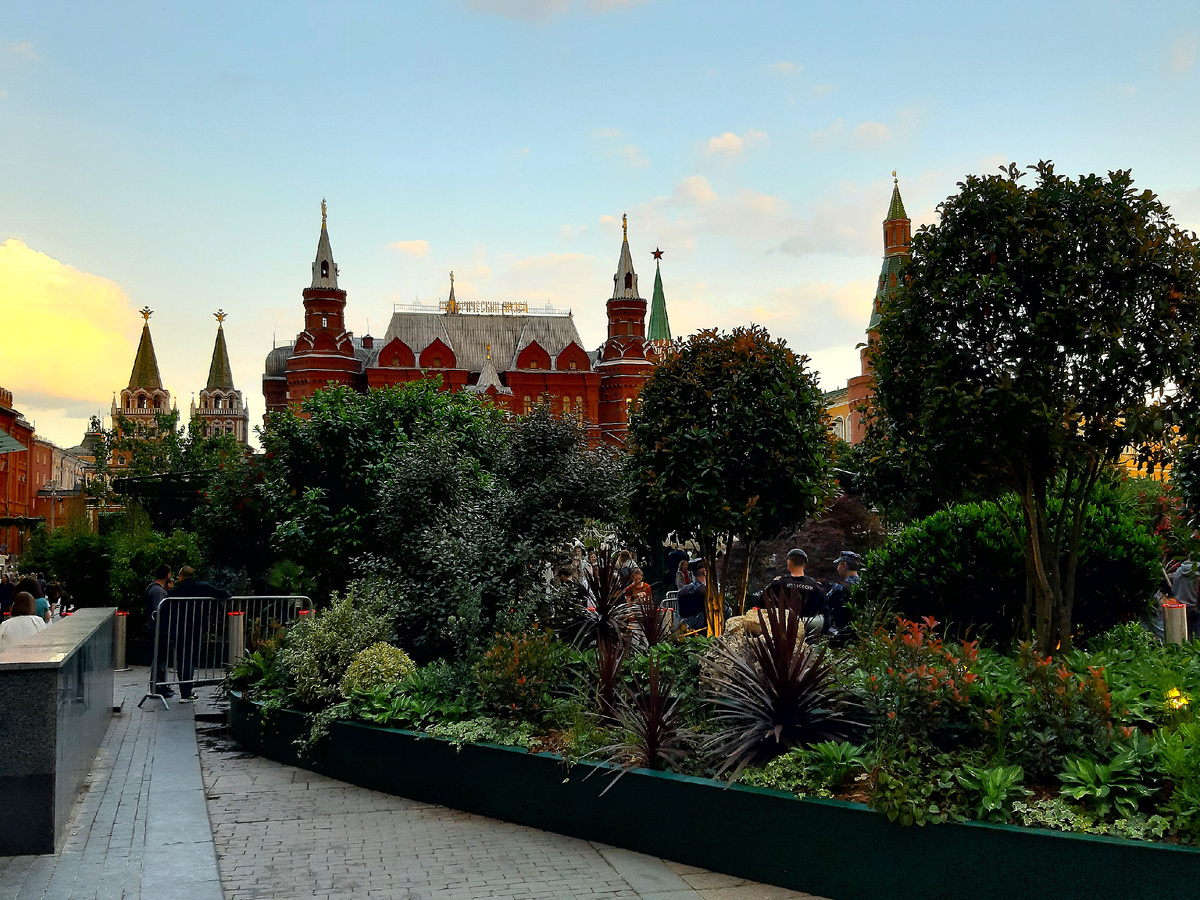 Красота этим летом в Москве невероятная. Но вся красота в кадках. Фото с dzen.ru