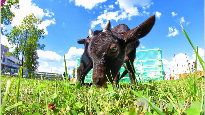 Фото: Анастасия Илюшина/47channel, архив