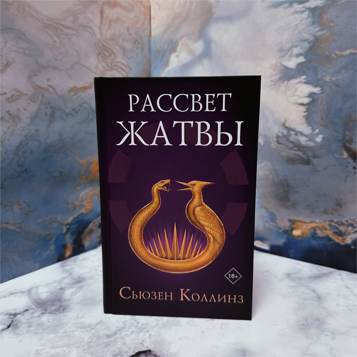 Фото Анны Карповой/Книжная лавка: жизнь любителя почитать