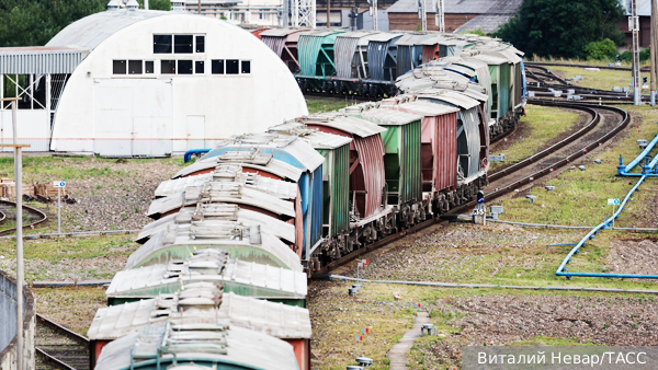     Фото: Виталий Невар/ТАСС   
 Текст: Станислав Лещенко