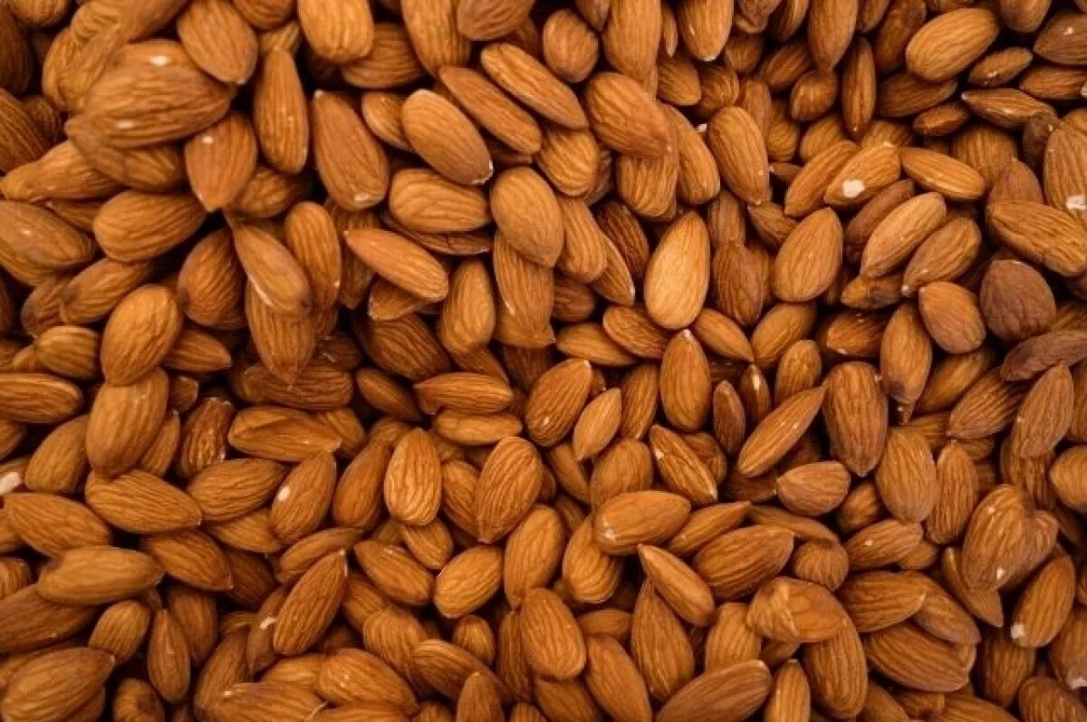    В Черноморском районе Крыма стартовал сбор миндаля