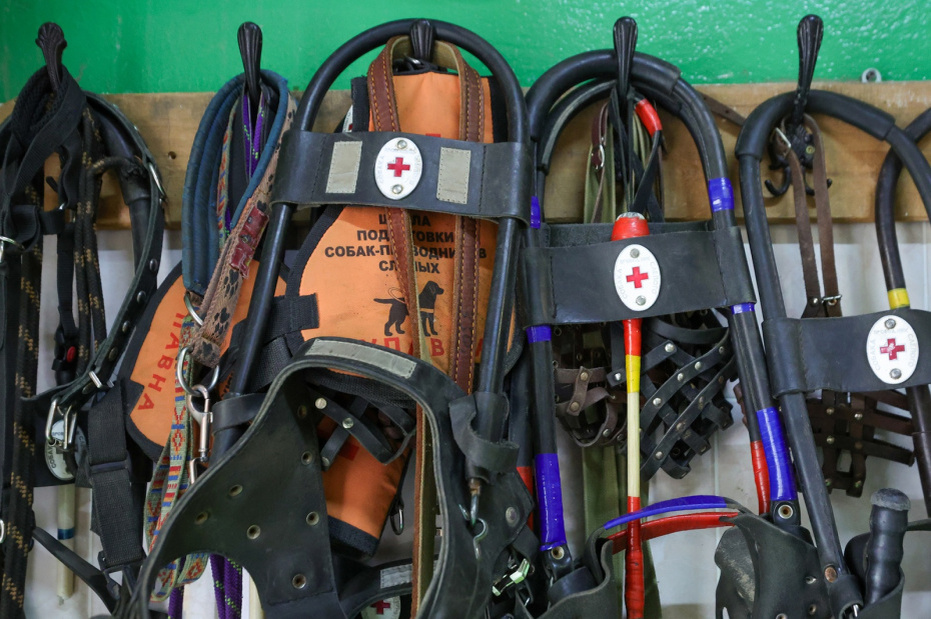    Наталья Шатохина/NEWS.ru