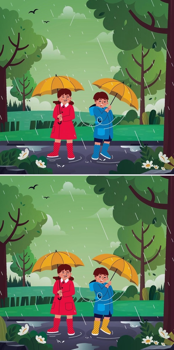 Найдите 10 отличий