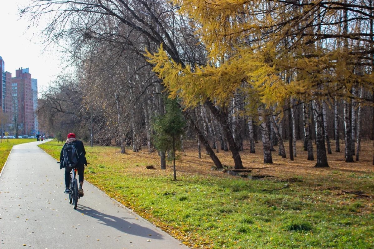    Синоптик Ильин: бабье лето в Москве продлится до середины сентября