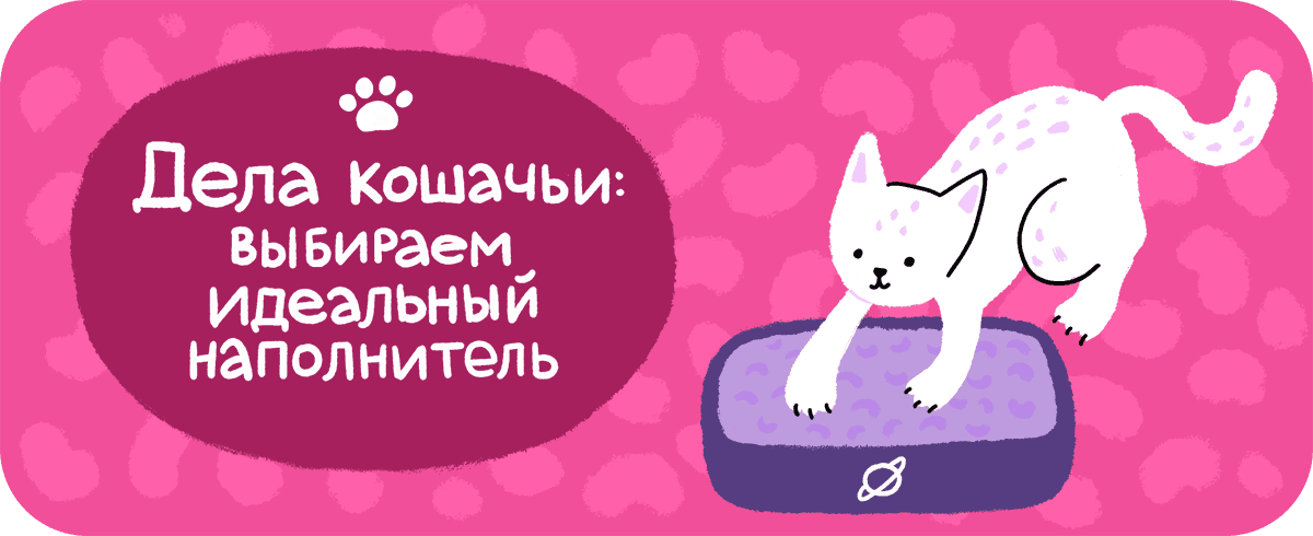 Кошачья гигиента ребует внимания хозяина