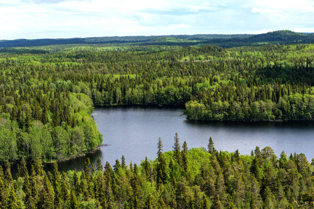 Озера Соловецкого архипелага. Фото Ekaterina Loginova