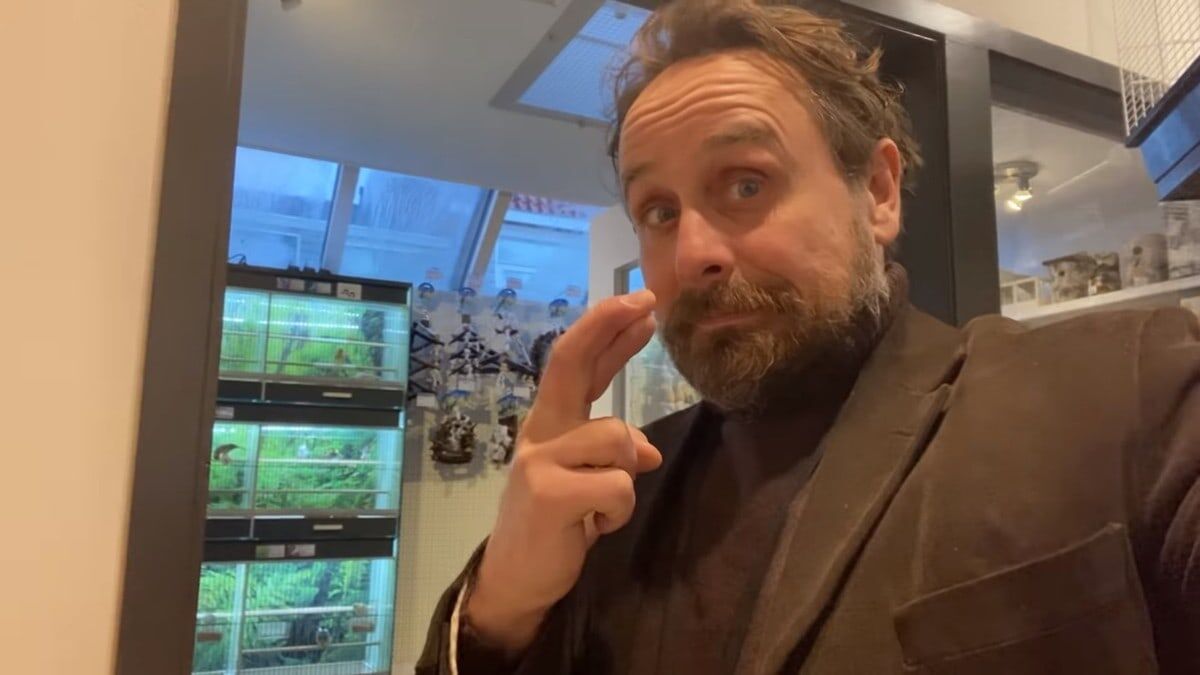 A Chick Called Albert