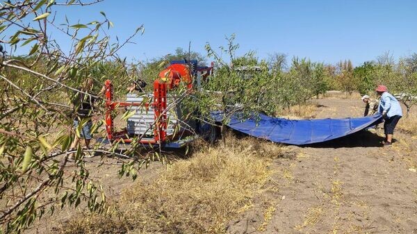    © РИА Новости Крым