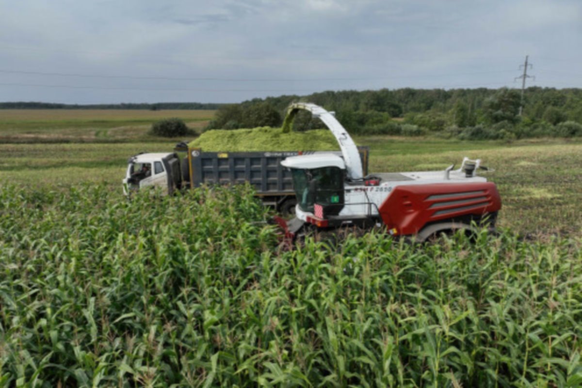    Фото: правительство РБ, источник: resbash.ru