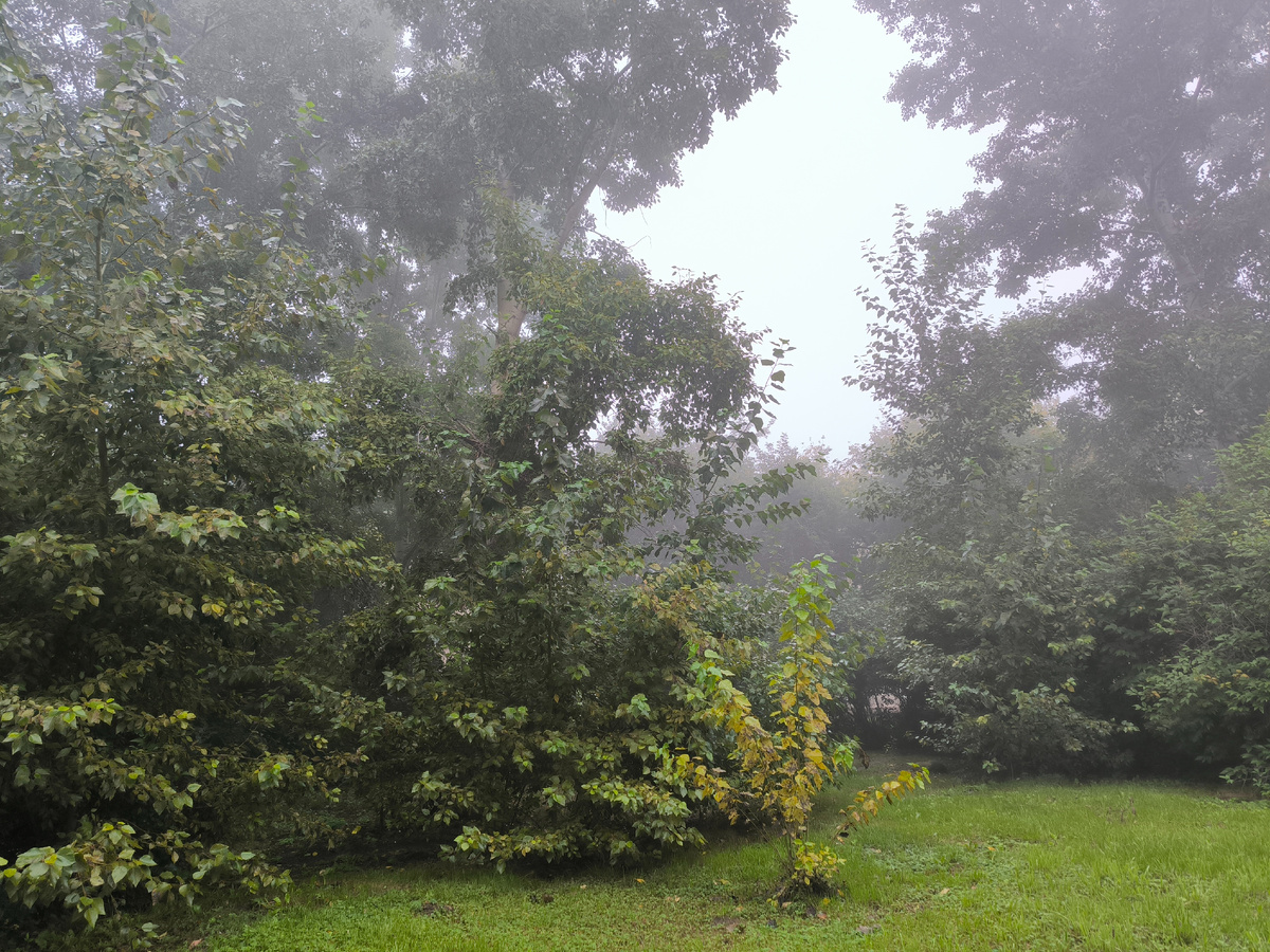 Утро 28 августа уже плохо помню. Всё, как в тумане