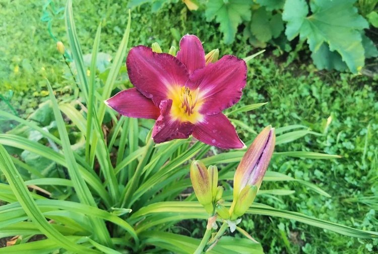    Фото: Лукьянов Дмитрий, AgroXXI.ru