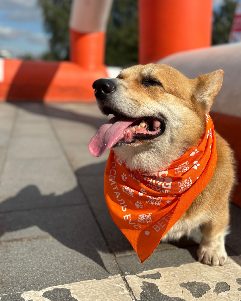 Оранжевое настроение