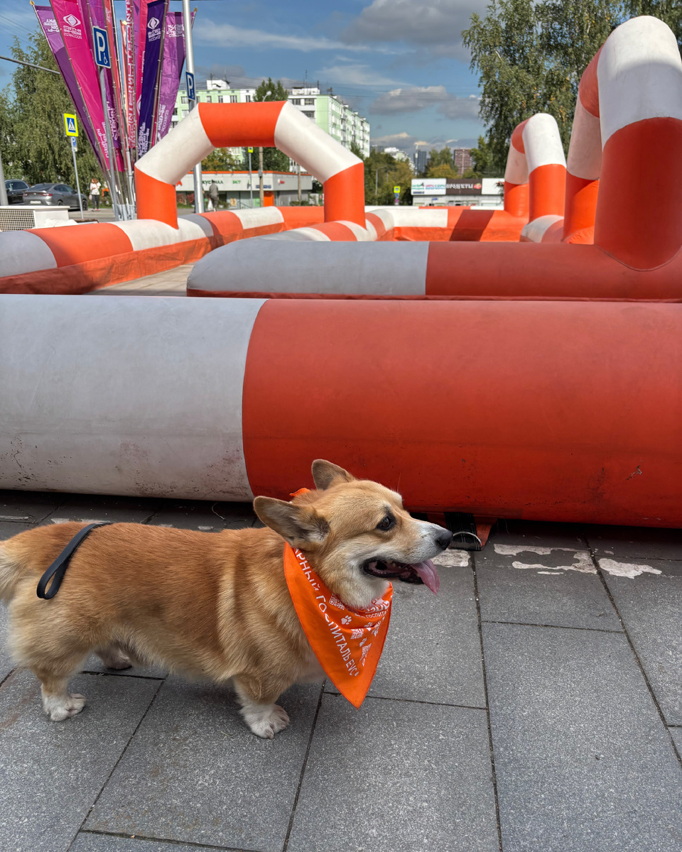 Нашел оранжевый на районе