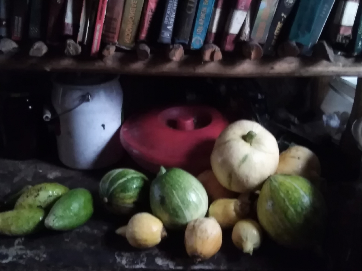 Видали, какой урожай?☝️😎