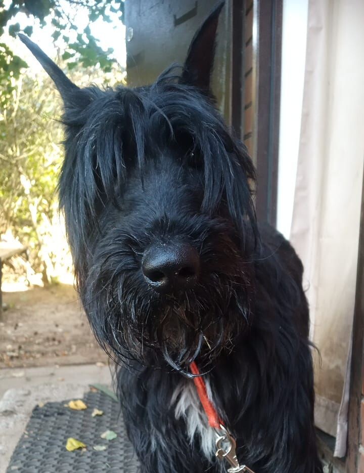 "А меня куда?..."