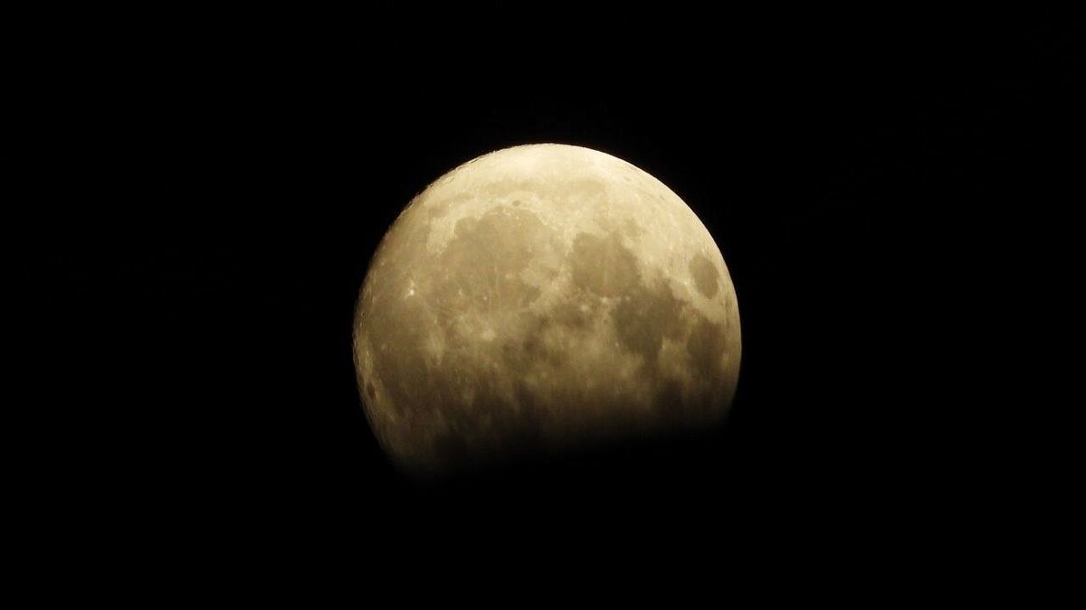    Фото: телеканал «Краснодар»