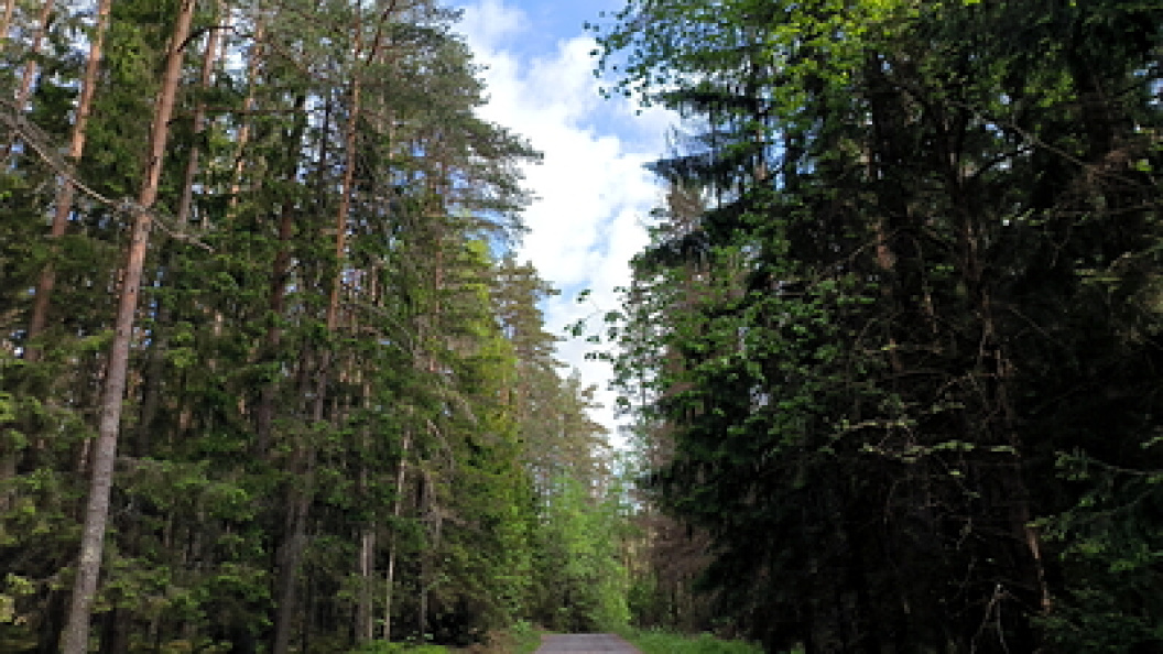    Фото: Maksim Konstantinov/Globallookpress.