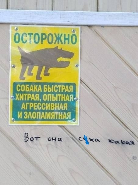 фото из соцсетей.