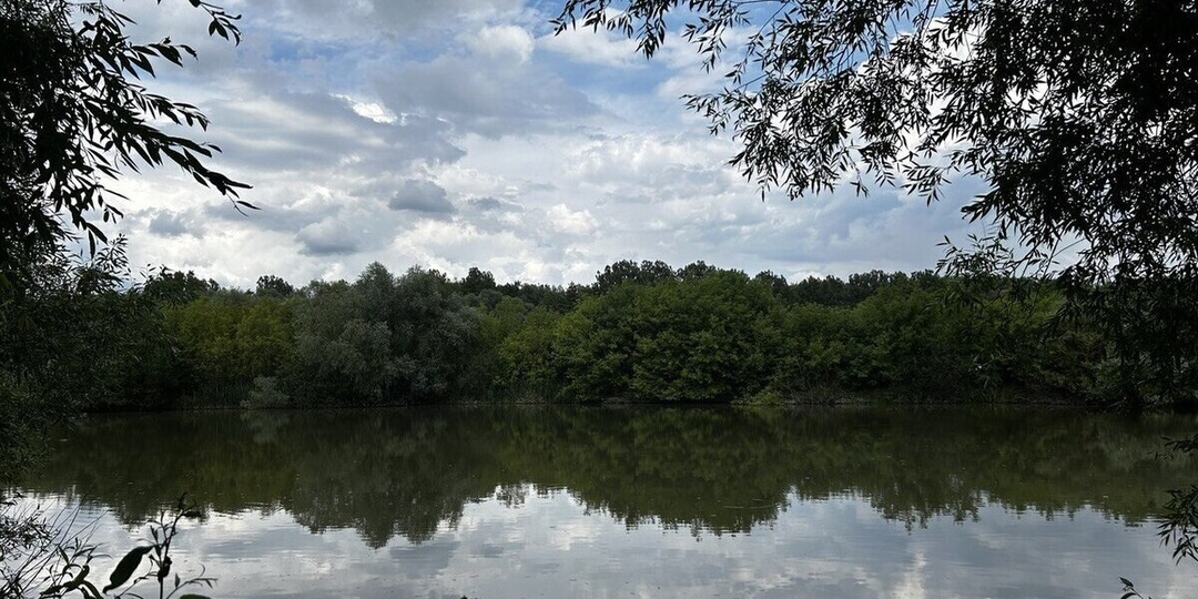 В Белгородской области во время купального сезона утонули 9 человек