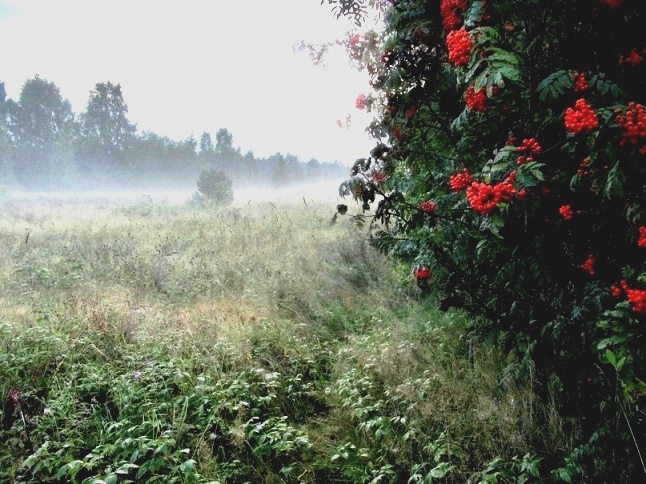 Восьмое августа 2025 года - день рождения нового времени...