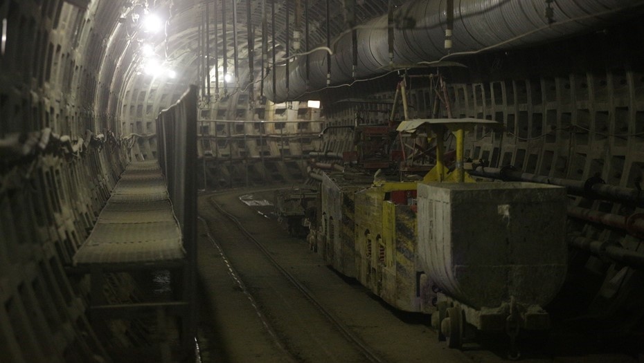    Автор фото: Ваганов Антон/"ДП"