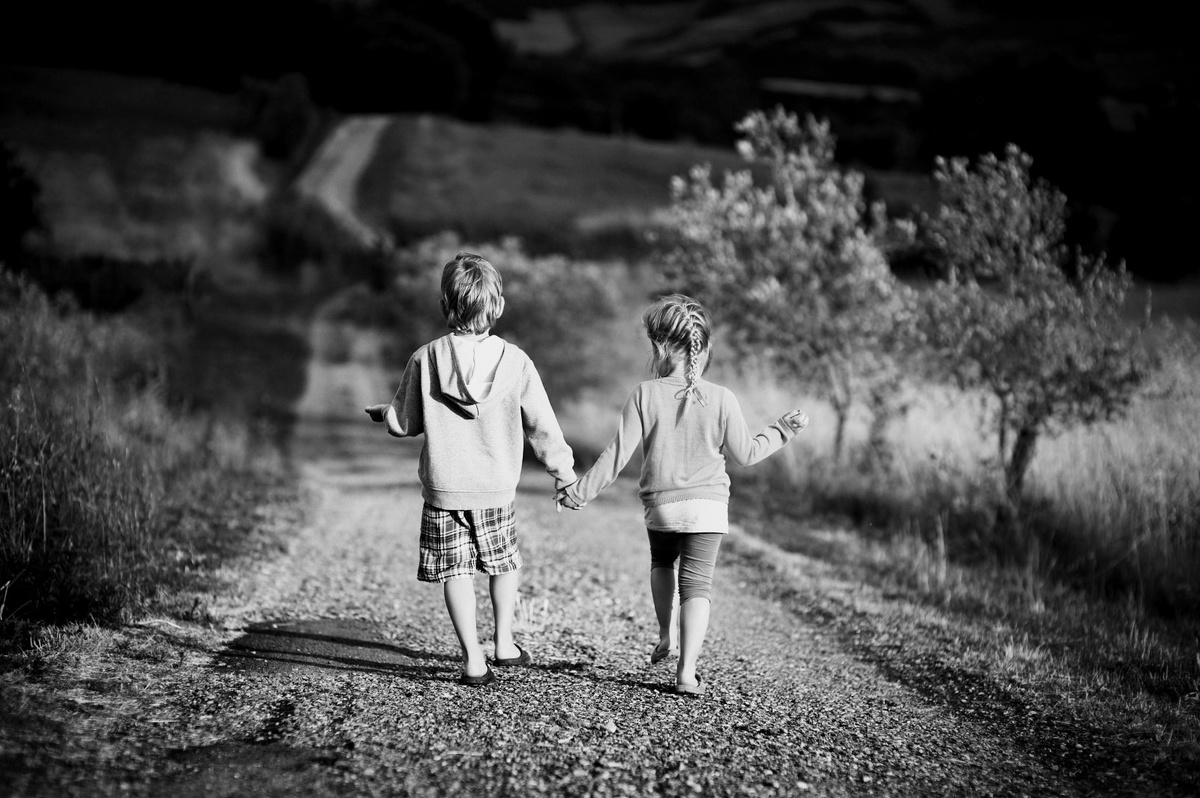 из открытых источников