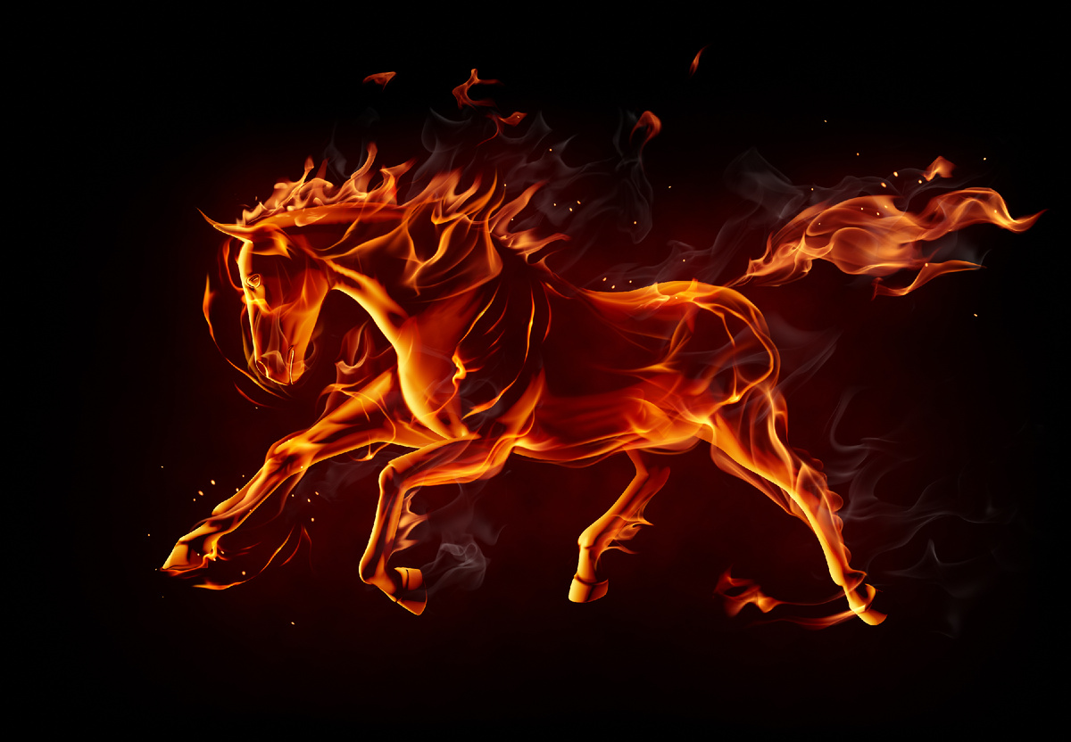 @Mikhail Bakunovich/Shutterstock.com