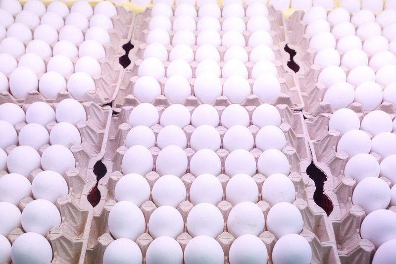    Сергей Петров/NEWS.ru