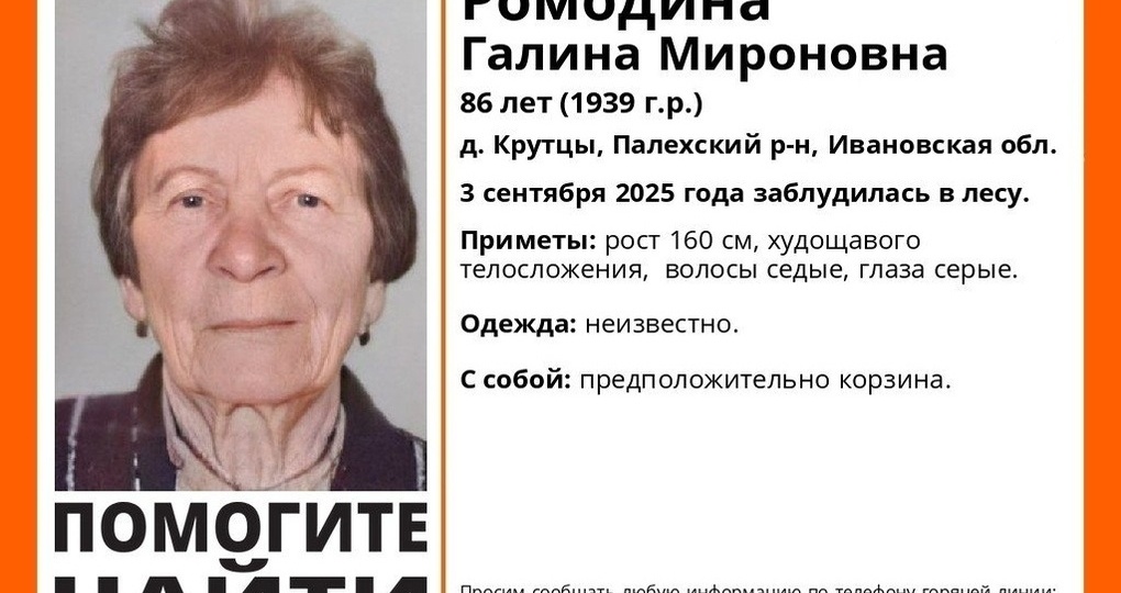 Пожилые мужчина и женщина двое суток ждут помощи в лесах Ивановской области