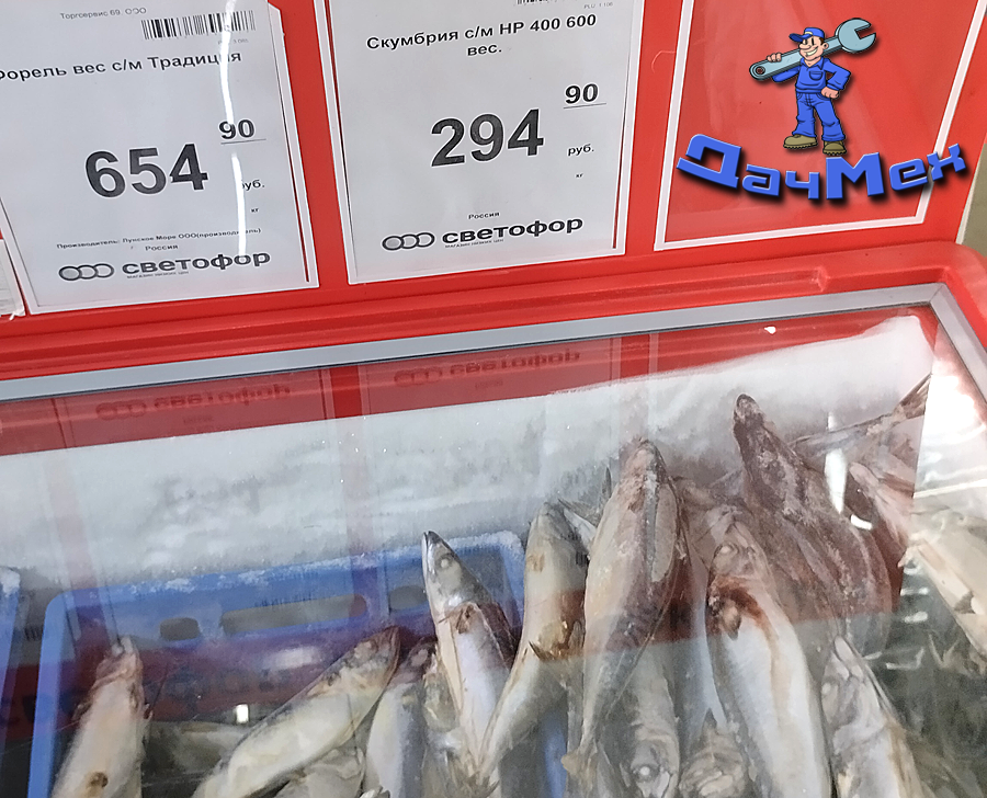 Скумбрия в Светофоре