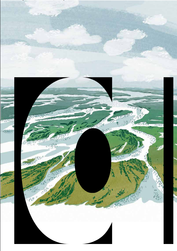 Автор иллюстрации: Полина Шевчук