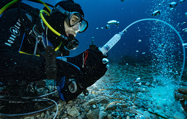 Alexis Rosenfeld/Getty Images