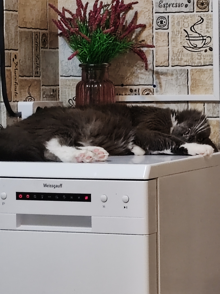 Фото автора канала. 